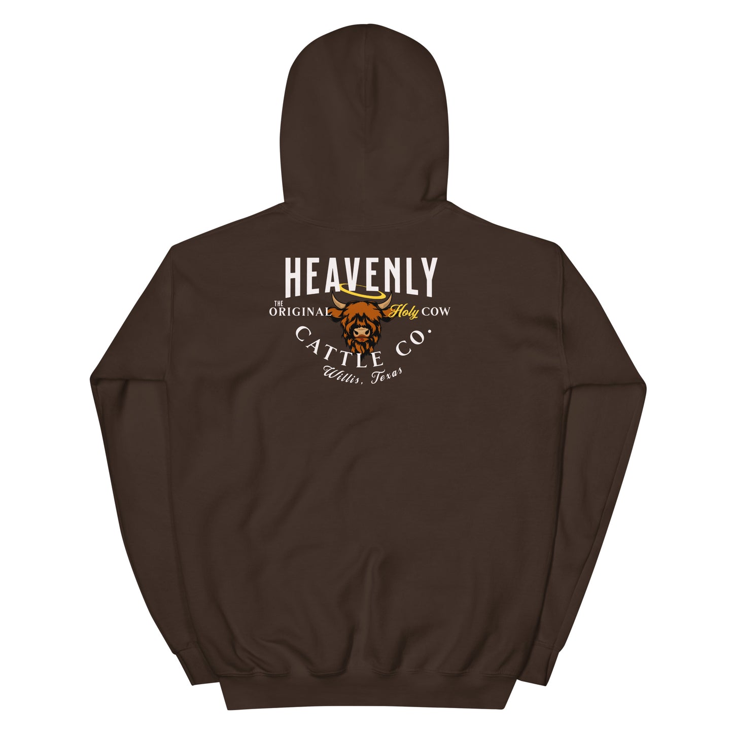 HCCo Creation of Norman Unisex Hoodie