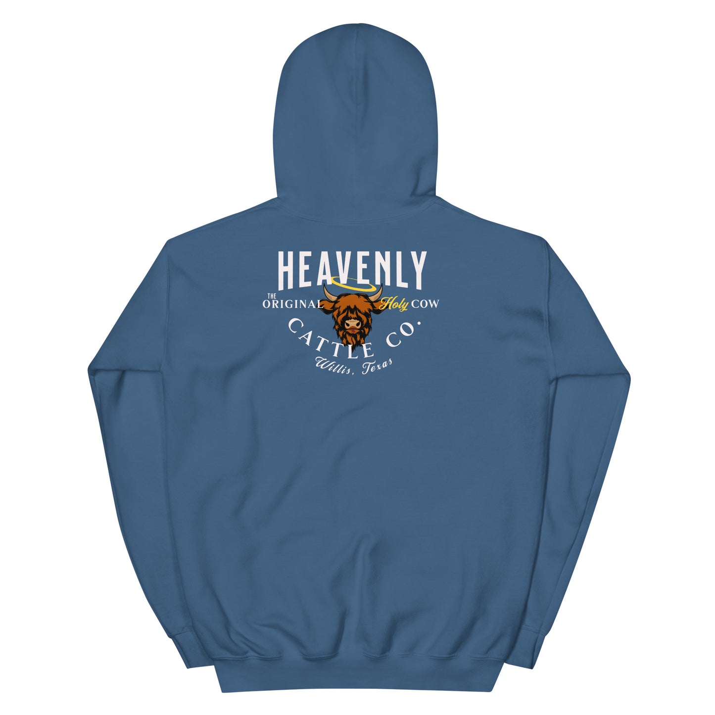 HCCo Creation of Norman Unisex Hoodie