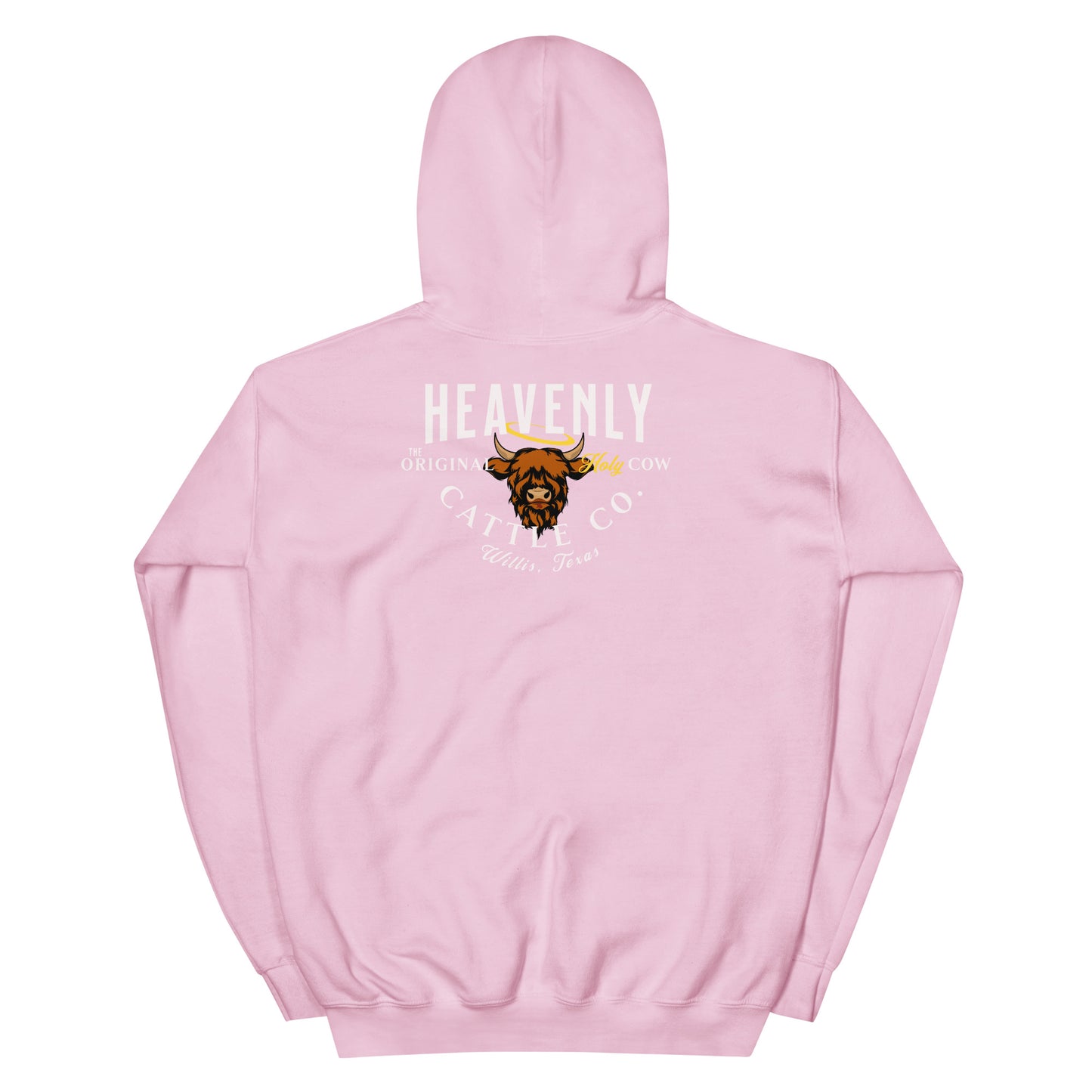 HCCo Friar Unisex Hoodie