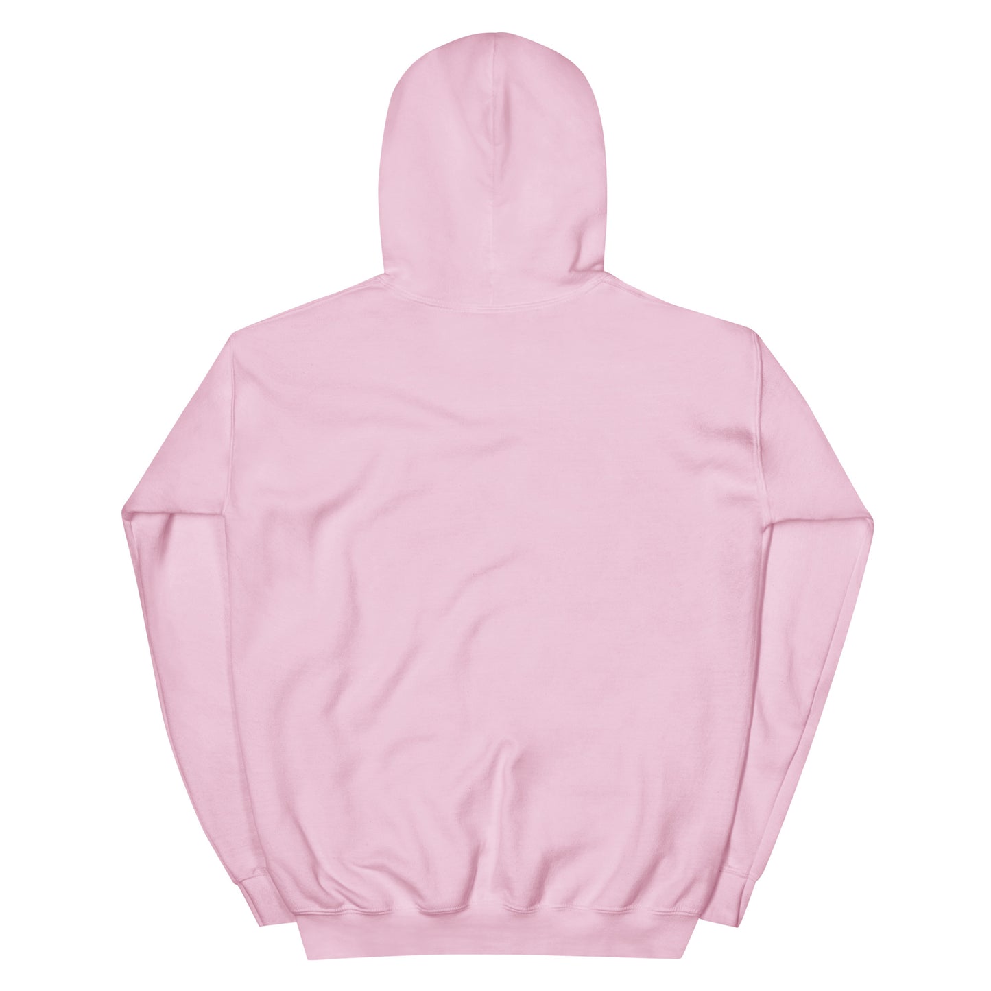 HCCo Unisex Hoodie