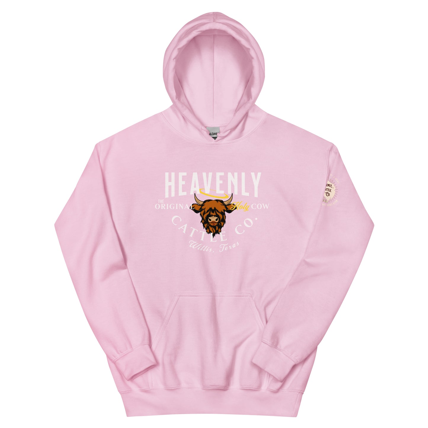 HCCo Unisex Hoodie